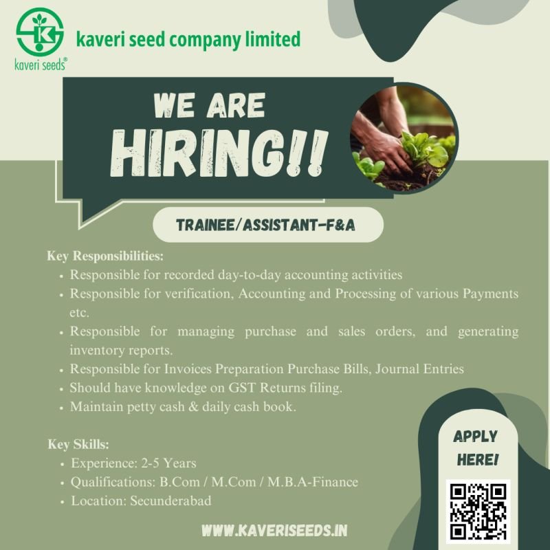 Accounts Assistant Jobs